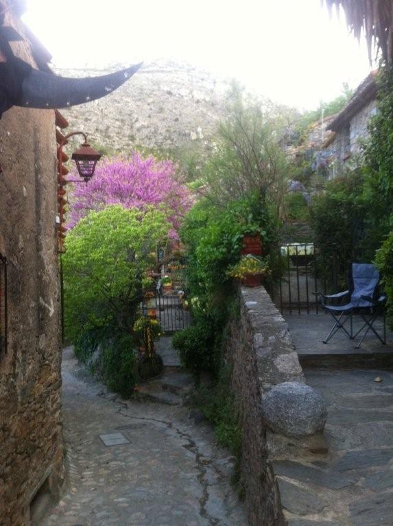 La Figuera Bed & Breakfast Camelas Exterior photo